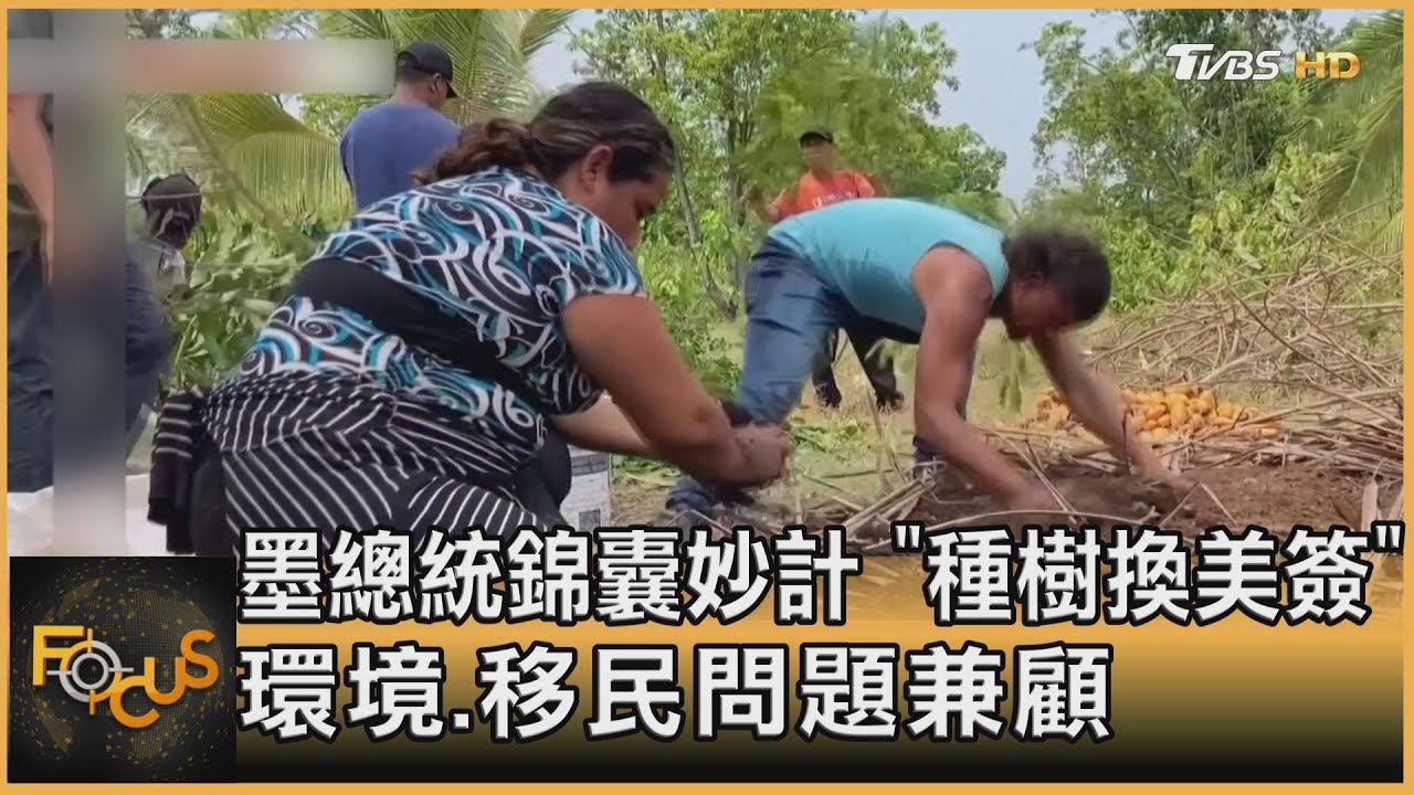 墨國總統錦囊妙計「種樹換美簽」環境.移民問題兼顧