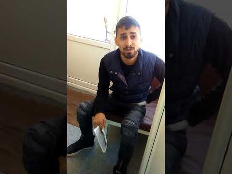 Lautaru nostru din ocolna