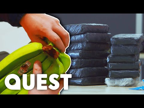 15 Kilos Of Cocaine Hidden Inside Bananas | Border Control: Europe