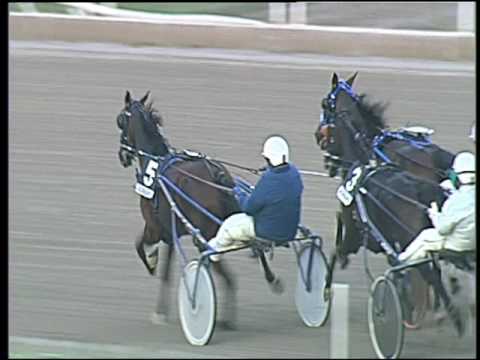 Trotto 02/10/2016 - 5ª corsa