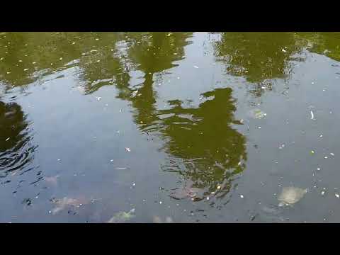 please like and subscribe