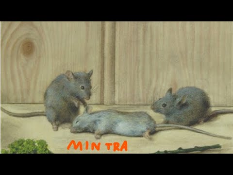 AION CLASSIC NA ZERG EVENT ZERG MEDIA ZERG DOCUMENTARY #galactussusunamek #aionclassicna