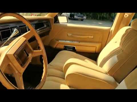 Maio ft. Baro Dano Gipsy Funk from the Street (Official Video)