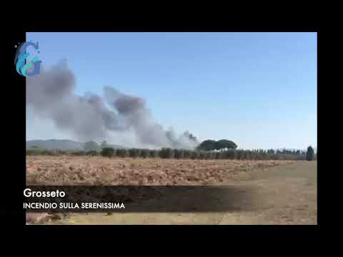 Incendio alle porte della città. A fuoco una baracca