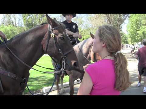 The Pet Psychic Talks to Police Horses