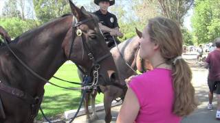 The Pet Psychic Talks to Police Horses