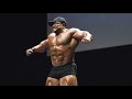 Roelly 