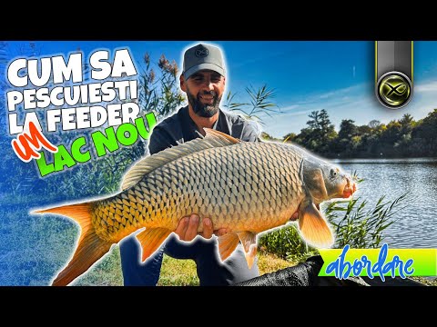 Abordarea unui lac nou | Pescuit la feeder toamna, pe lacul Palatului Caciulati