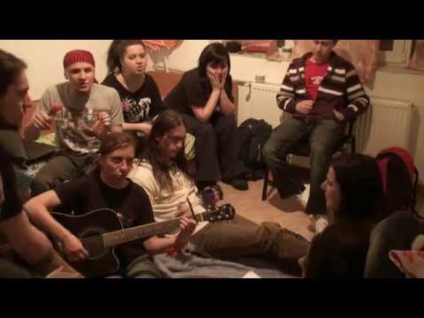 Cati si prietenii - Padurea de smaralde