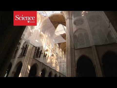 Um olhar sobre a restauração da Catedral de Notre Dame