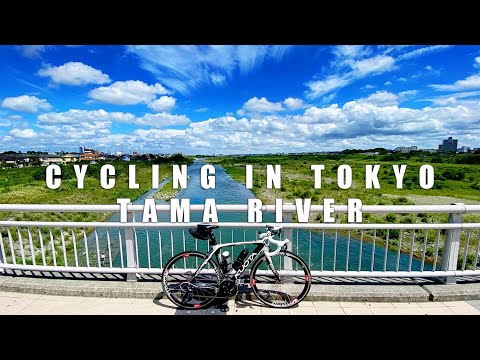 [4K] Cycling along theTama River in Tokyo