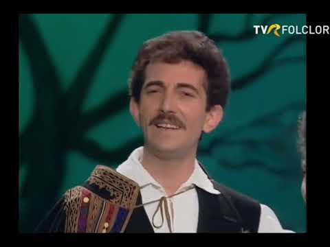 Petrică Stoian Mîțu - Aștept să răsară luna