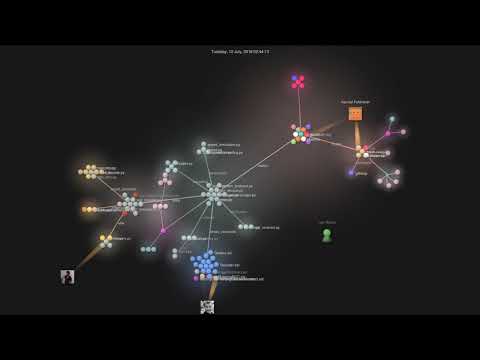 Raiden Network - Commits Visualization
