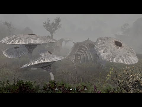 INDARY MANOR - SKYRIM SPECIAL EDITION MODDED