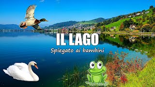 🦆🦢 IL LAGO spiegato ai bambini - Lezione di Geografia per la Scuola Primaria 📚🌎