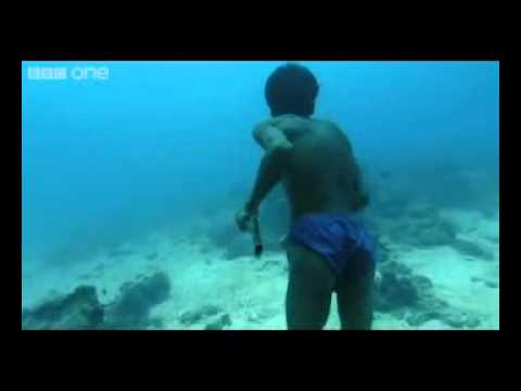 hombre de pesca andando bajo el mar, increible! Human Planet Oceans BBC HD 1080 1