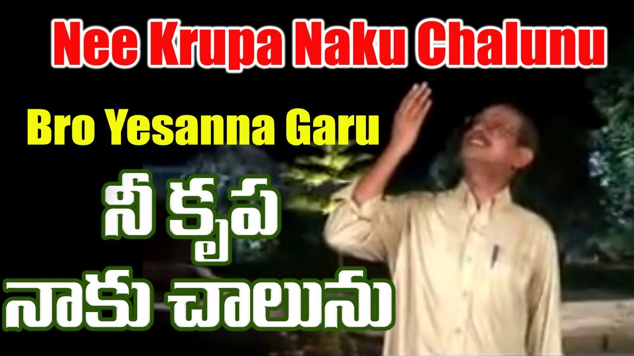 Nee Krupa Naku Chalunu song lyrics