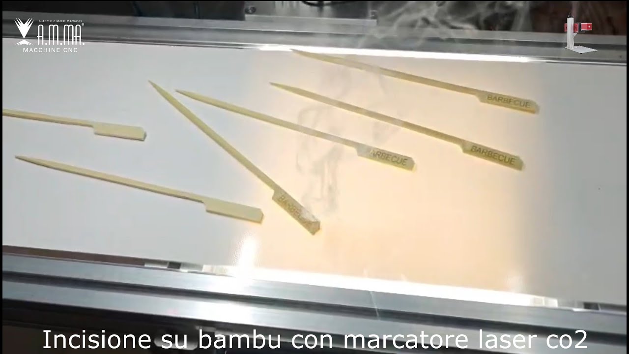 Marcatore laser co2 con nastro trasportatore - Pantografi AMMA