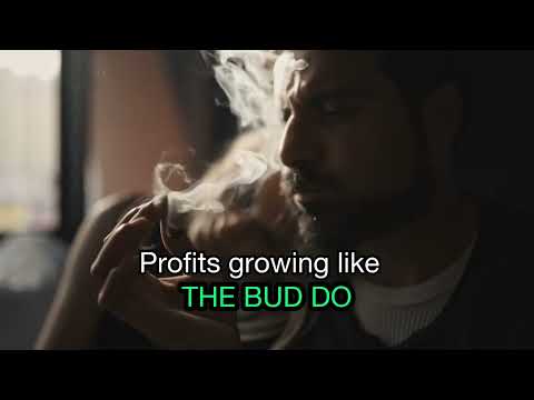 “BULLISH BEAR” - Krown Chakra feat. @CryptoFace [Official Lyric Video]