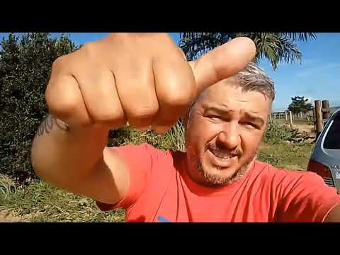 Mostrando um pouco da feira de nanuque minas gerais. E um pouco da natureza 