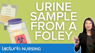Urine Specimen Collection from an Indwelling Foley Catheter | Lecturio Nursing Clinical Skills