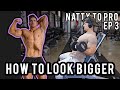 HOW TO LOOK BIGGER | ARM WORKOUT | NATTY ROAD TO PRO | EP 3