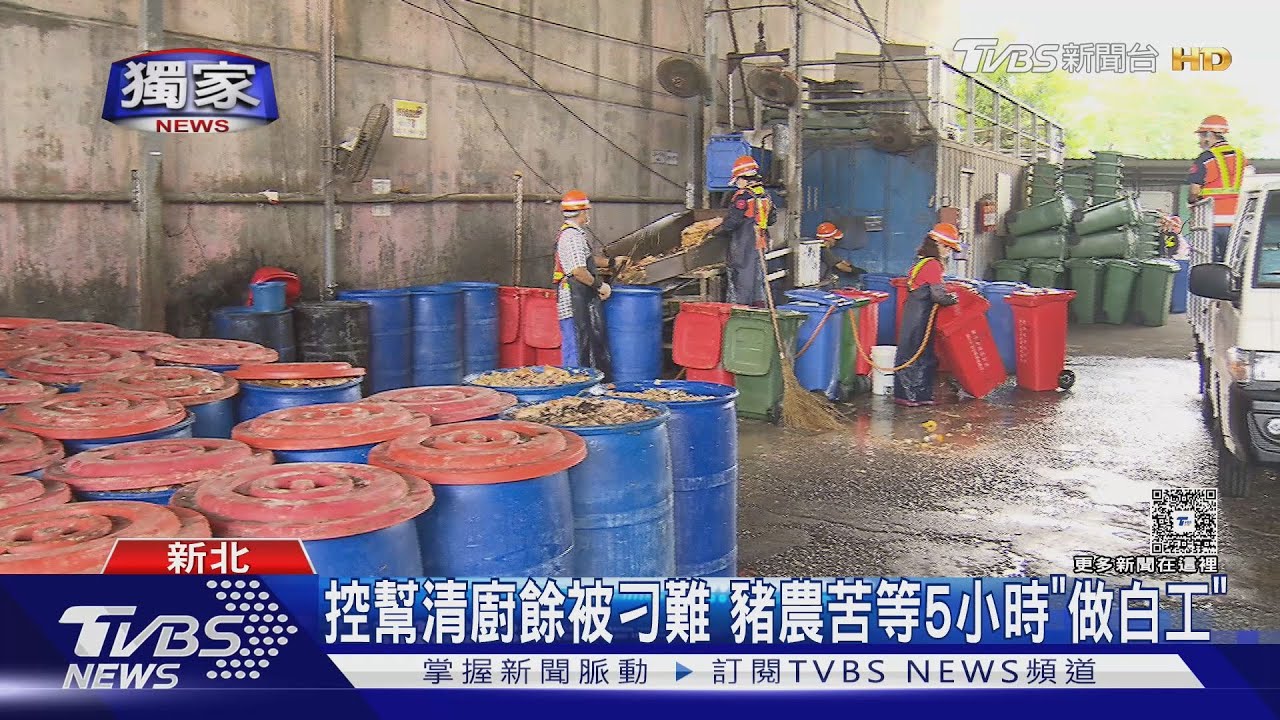 獨/控幫清廚餘被刁難 豬農苦等5小時「做白工」