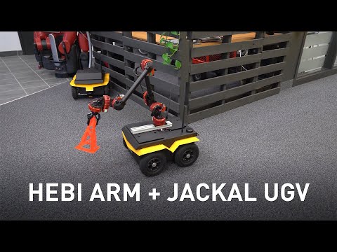 Jackal Video 2096