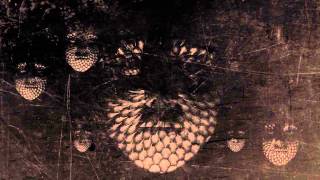 Björk - Atom Dance - Video experimental en Loop