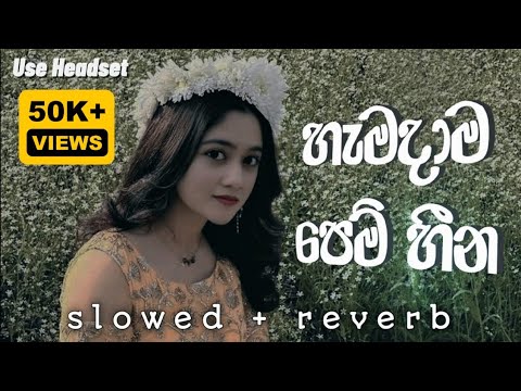 Ahi pillamak Athara | ඇහි පිල්ලමක් අතර ( Hamadama pem heena | හැමදාම පෙම් හීන ) Slowed Reverb 🥀🔥