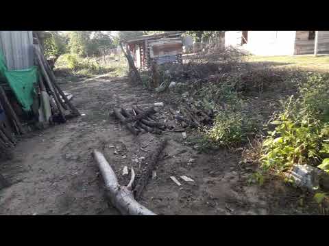 1 de febrero de 2026