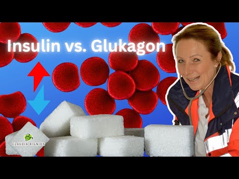 Blutzucker- und Alkohol 10 Japanische Antidiabetika