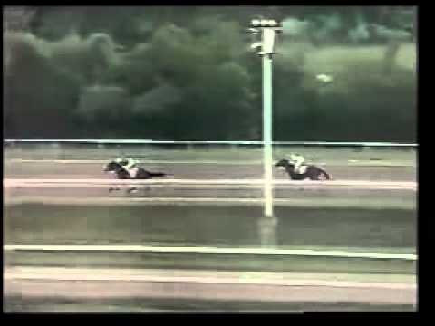 Clasico del Caribe 1993 - Verset's Jet  (PR)