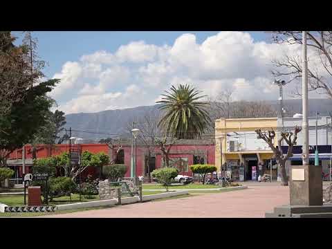 12° Fiesta Nacional del Melón, la agricultura y la producción Candelaria - San Luis