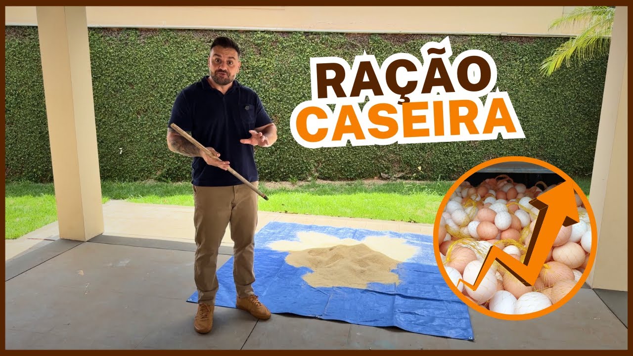 3 Homemade Feed Ingredients That Make Your Chickens Lay LOTS OF EGGS!