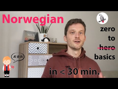 Norwegian course online: Learn Norwegian basics in less than 30 minutes (for beginners)