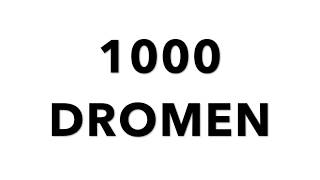 1000 DROMEN