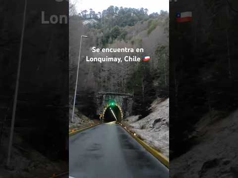 Tunel las raíces🌲 ¿lo conocías? #araucania #chile #lonquimay #surdechile #travel #tourism #temuco
