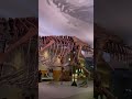 Sue One Of The Best Preserved T Rex Specimens Ever Found The Field Museum Not A Train