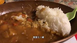 カレーにポン酢をかけてみた