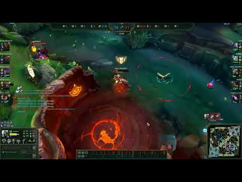 Onzed Zed Montage 2025