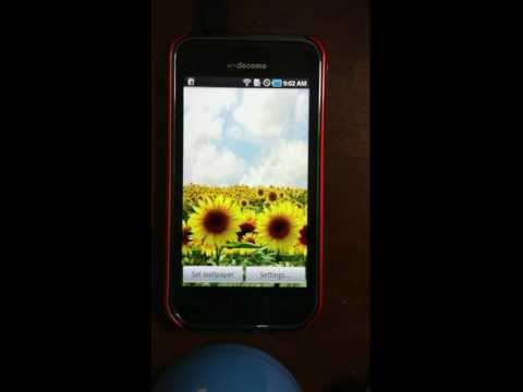 Sunflower LW + weather Video