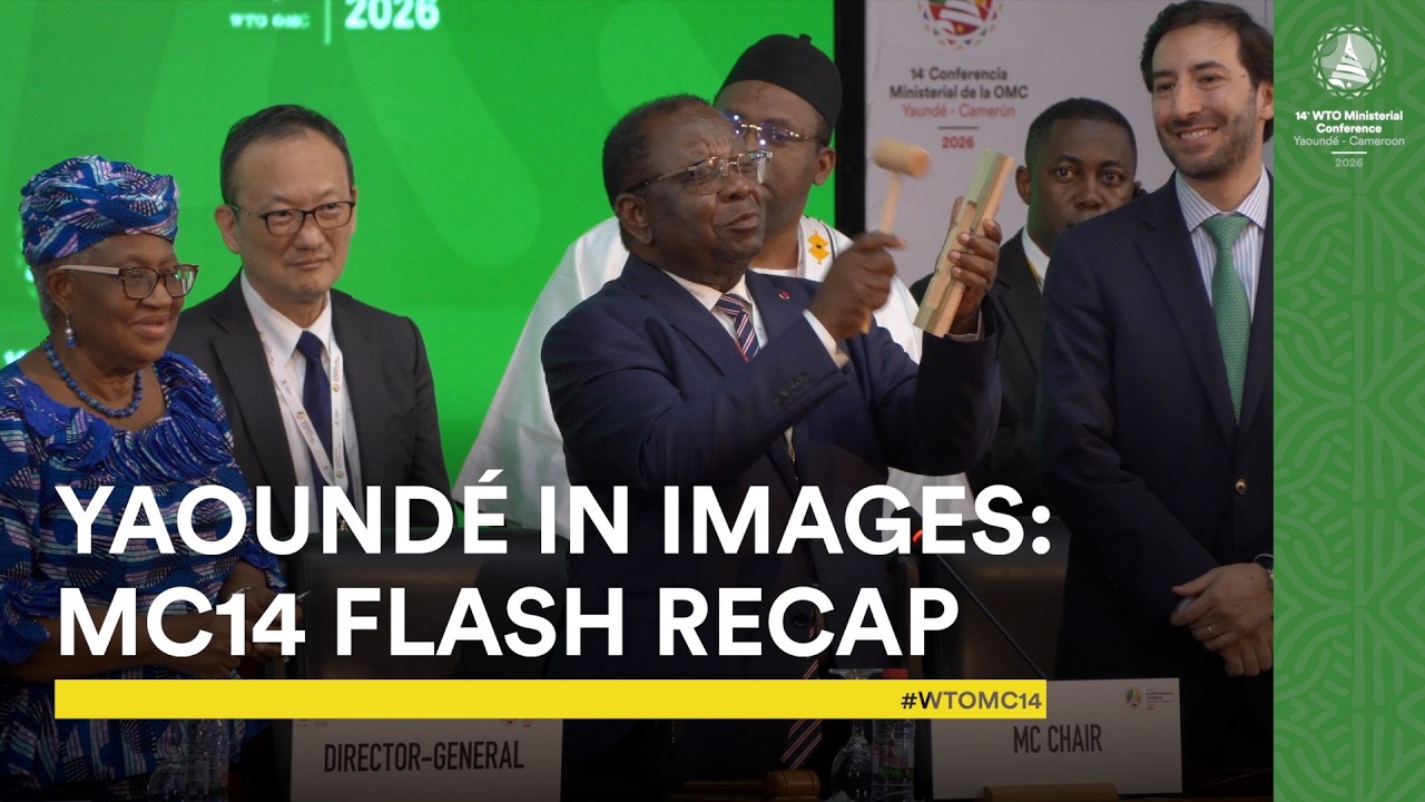 Yaoundé in images: MC14 flash recap
