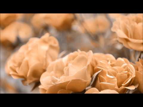 3May$un - Flowers [Music Video]