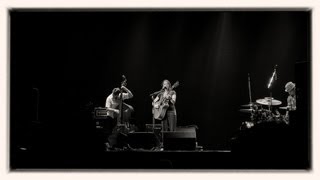 Ani DiFranco Live: The whole night