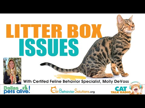 Decoding Litter Box Issues