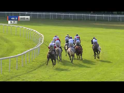 10.06.2018 (D13; G9; tor: 2,4; 28°C)