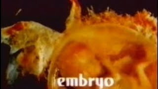 Embryo (1976) [Science Fiction] [Horror]