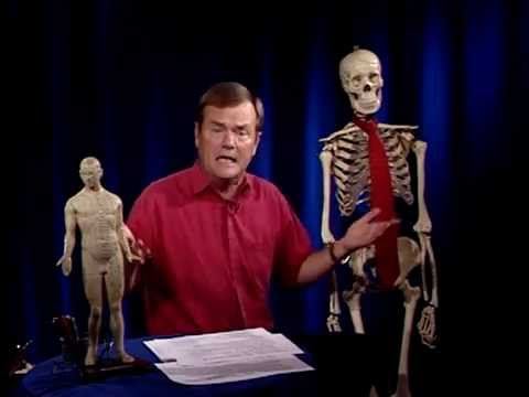 Energy Contact 14 - The Core of Sexual Energy