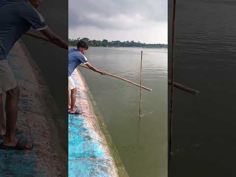 #amazingfishing #fishing